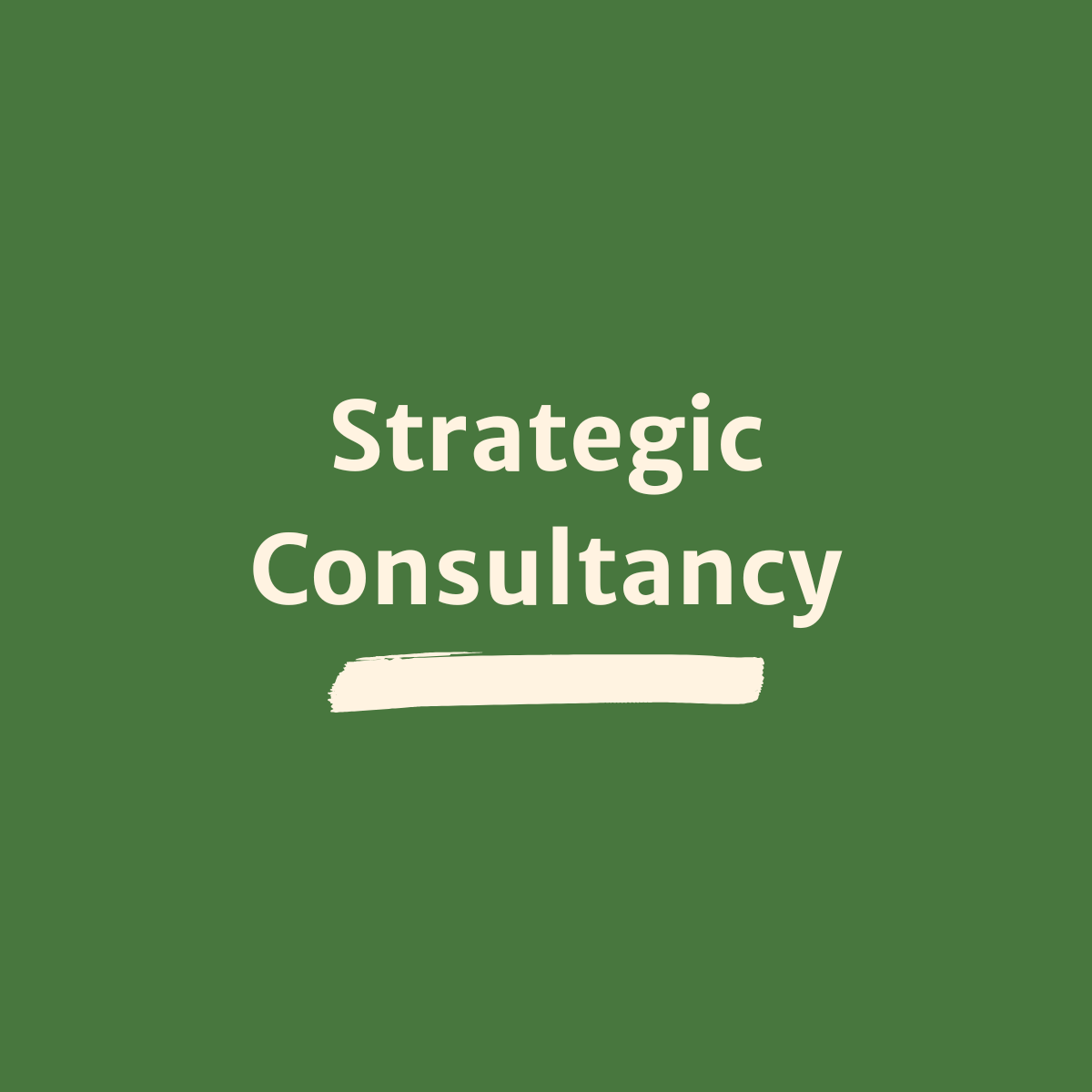 Team Strategy Consultancy: Public Sector