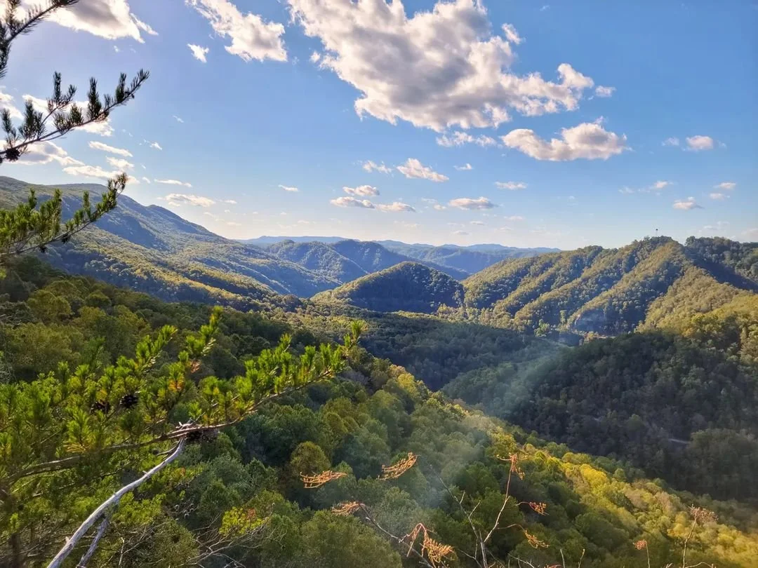 Red River Gorge - Vegan Joe.jfif