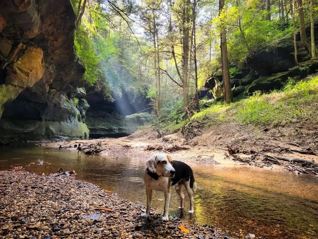 Red River Gorge 2 - Vegan Joe.jfif