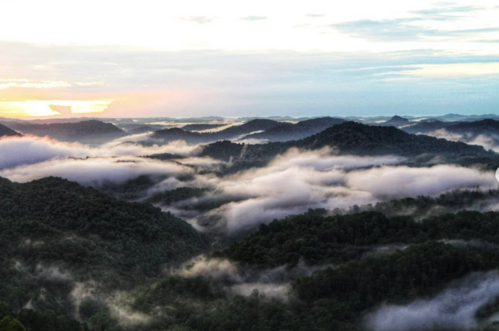 Whitesburg KY view - Arely Munoz.PNG