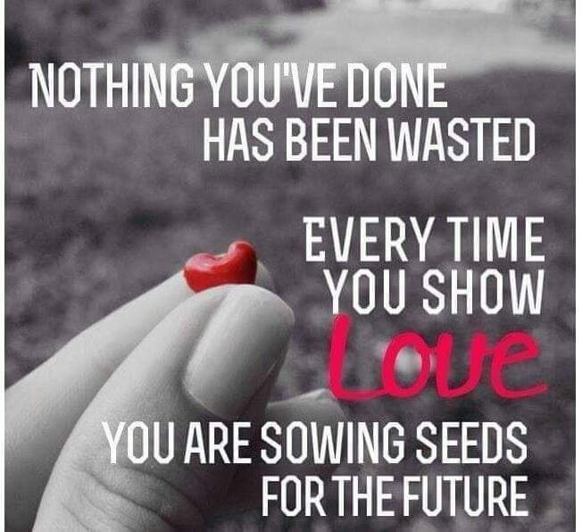 Tomorrow you will harvest the seeds you sow today. ..What kind of seeds do you need to sow today, so tomorrow turns into the dream you have always wanted?