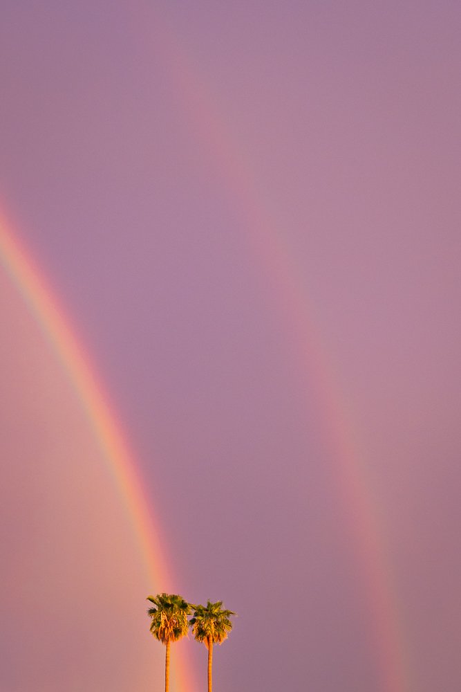 2025-08-31 19.44.26.jpg