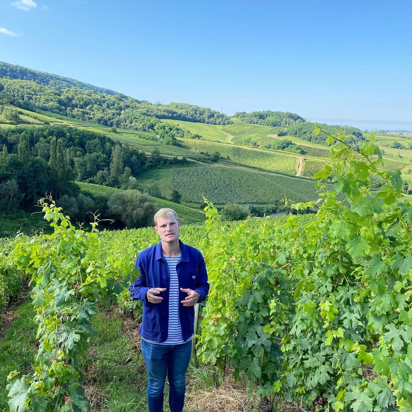 Incredible first visit with @benjamin.benoit_  first photo Cote de feule Trousseau &amp;
Plousaard 40+ year old vines 
South facing and marl. An incredibly special vineyard, you can feel it when standing in it and looking at the vines/aspect/ steep s