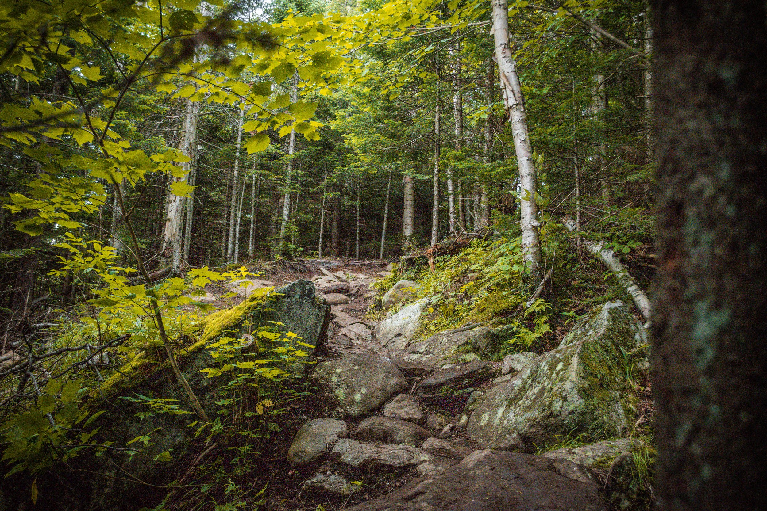 DSC_0121.jpg