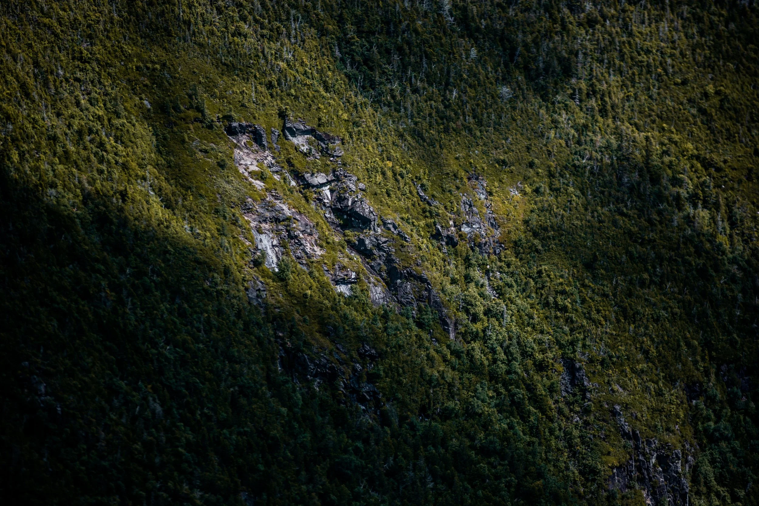 DSC_0943.jpg
