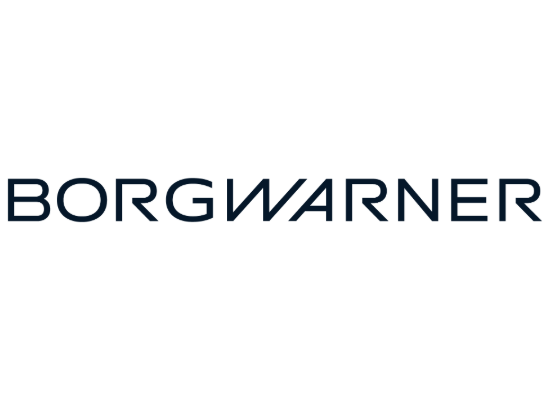 BORGWARNER LOGO