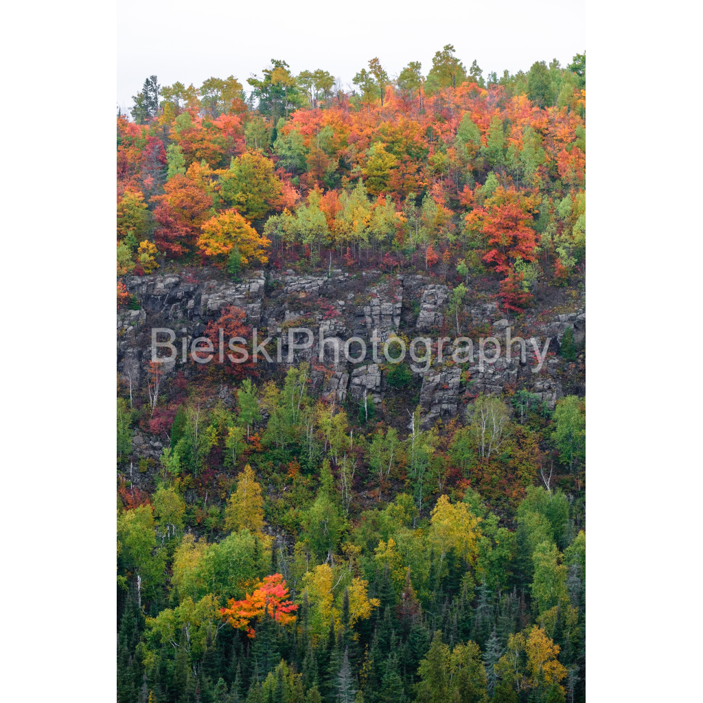 image_original_8835598c2d4d87b3790101827e724af3.png
