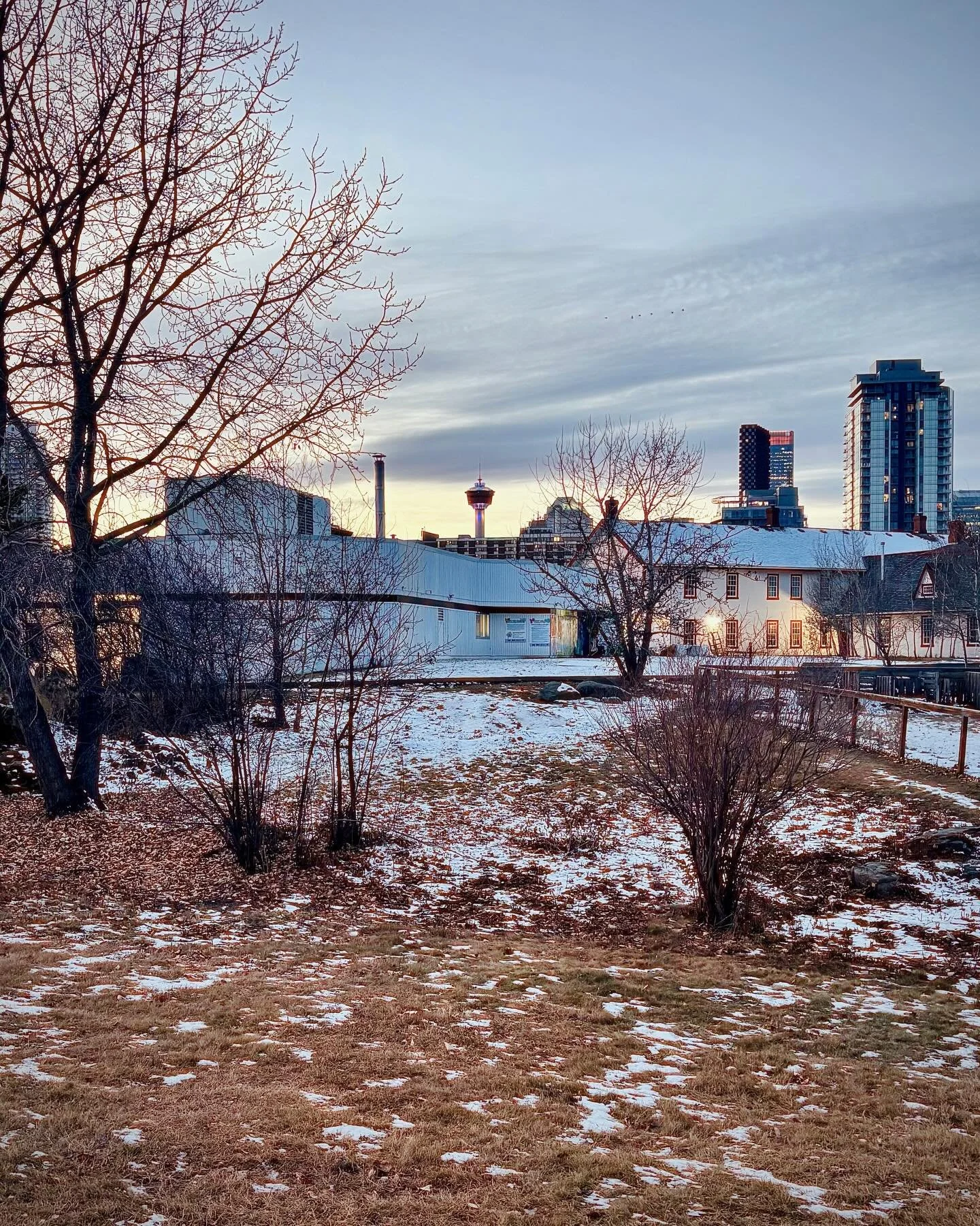 The first snowfall that's stayed ☃️ It's signalling early nights, opportunities for stringing up holiday lights, and flannel appropriate temps 🧣 #calgaryparks #inglewoodyyc #xmascheer