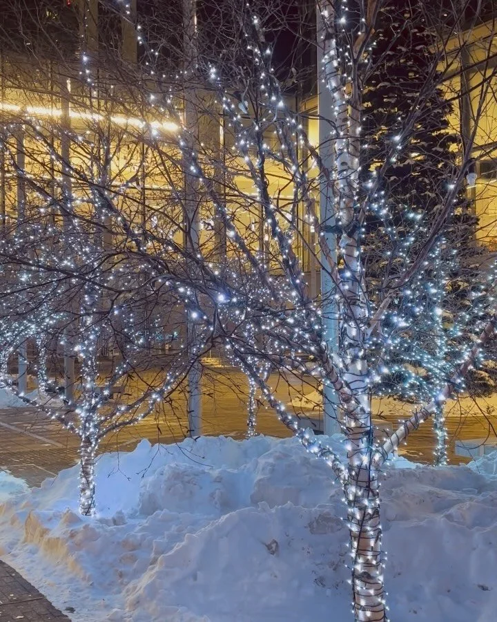 Snow and sandstone in @downtowncalgary ❄️💫
