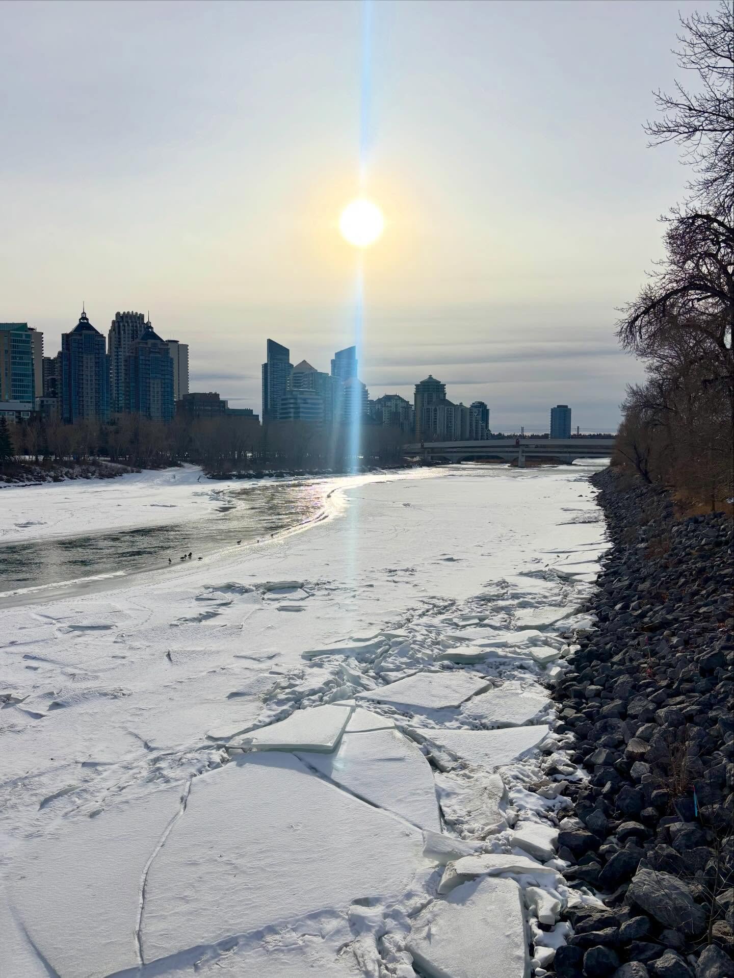 January thaw... 🌆 afternoon sun on the icy river; packing for work in the north; read! in the @eastvillageyyc; read in @thenextpageyyc; the husky corgi; evening fires at @cold_garden 🌃