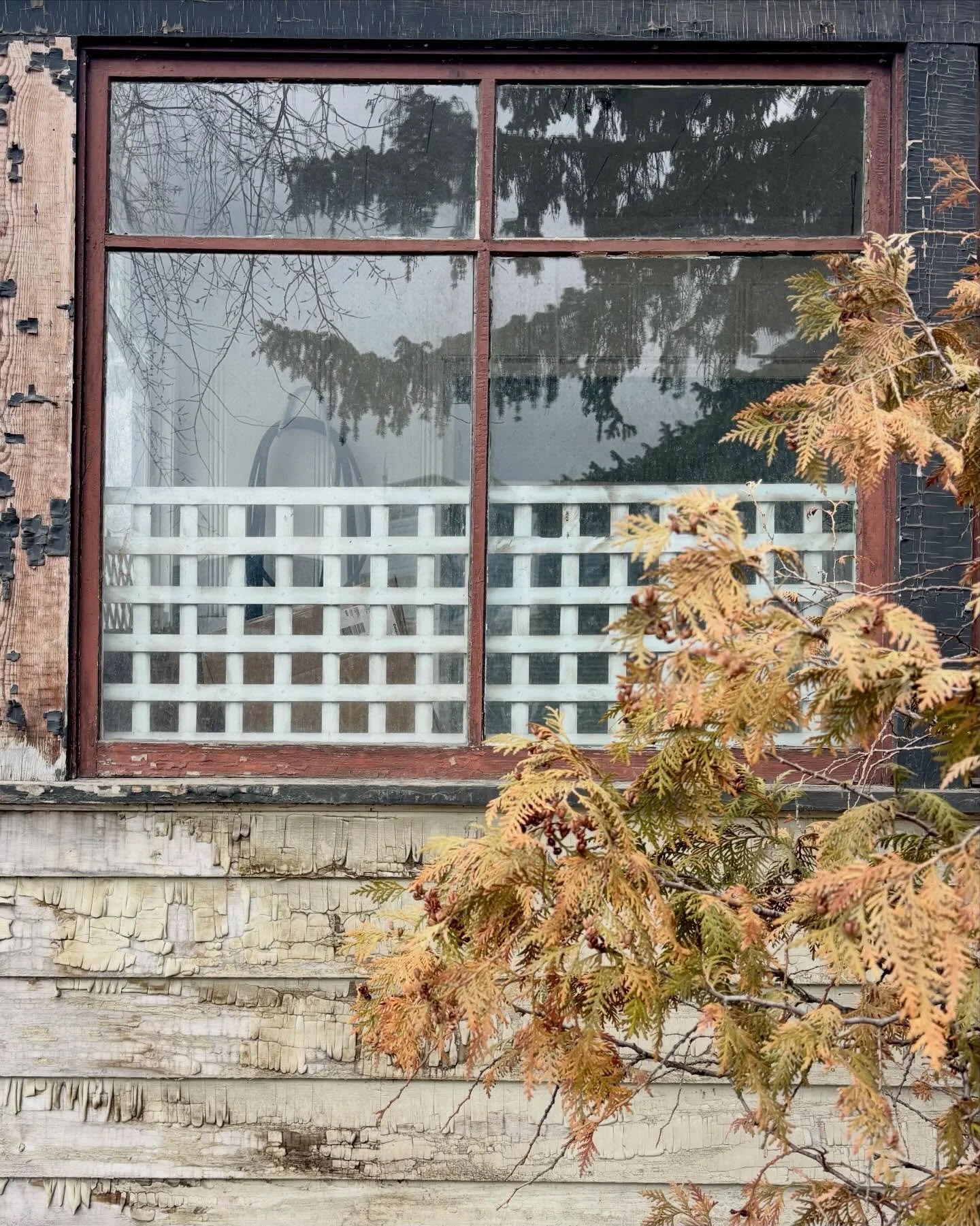 Sourcing colorways and textures for current design projects in variable conditions ⛈️ #fakespring #oldhouses #yycarts