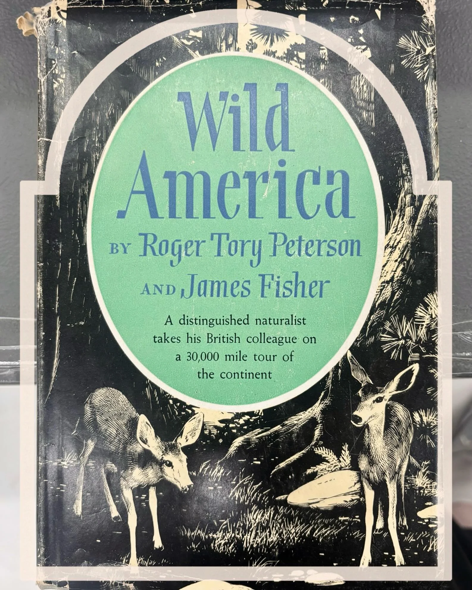 Weekdays hit different @calgaryreadsbigbooksale ☎️ SUPPORT all-ages literacy, RESIST ban book bans and "relocation" (fight Bill 28 📄 @caplibraries), READ publically and communally, and remember to REWILD 🦌