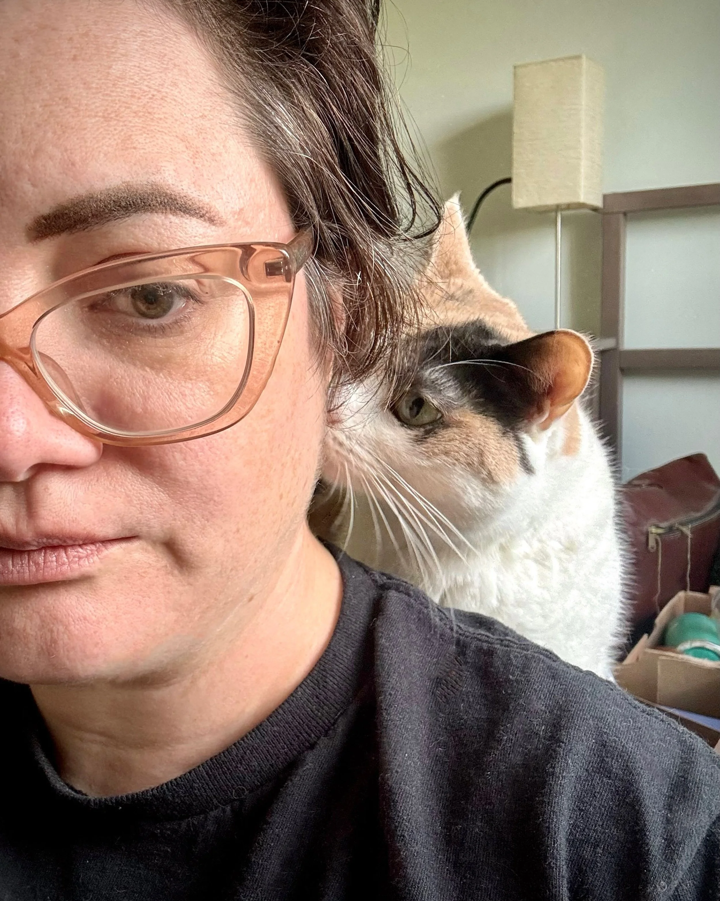 Complimentary grooming service #nomakeup #toomuchhair #correctamountofcat