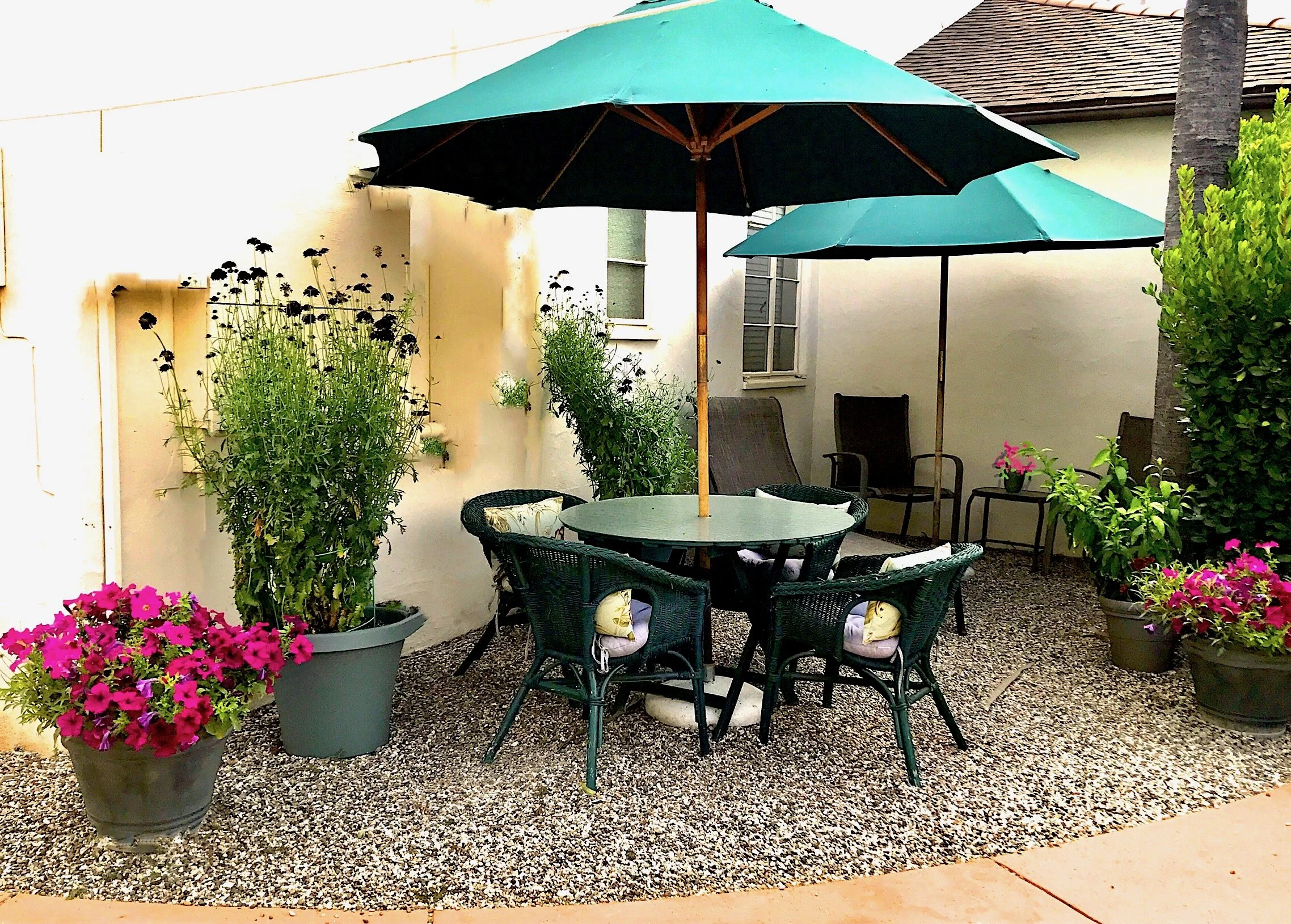 AV PATIO CLUB; 1-2.jpeg