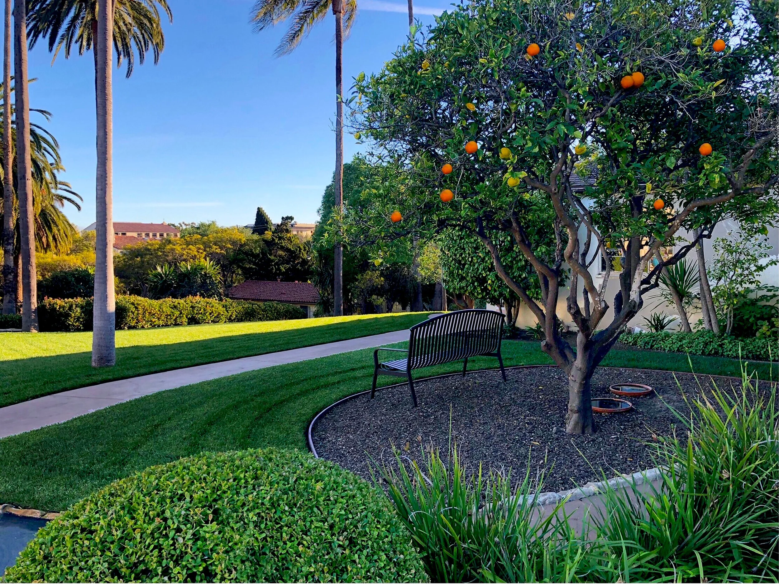 AV to ocean;1-1.jpeg