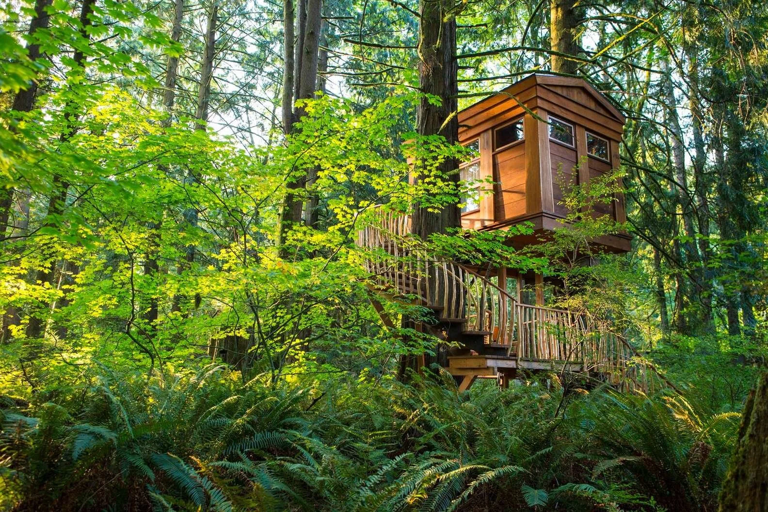 Tree Houses:  Every grown-up kid’s dream come true