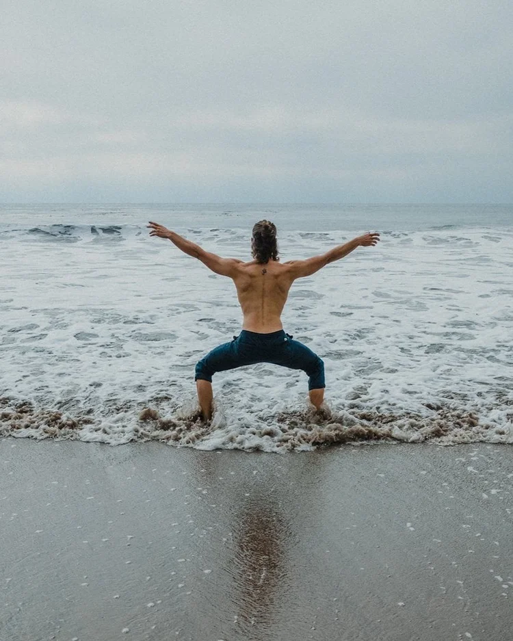 the-somatic-healing-bundle-2-embodied-movement