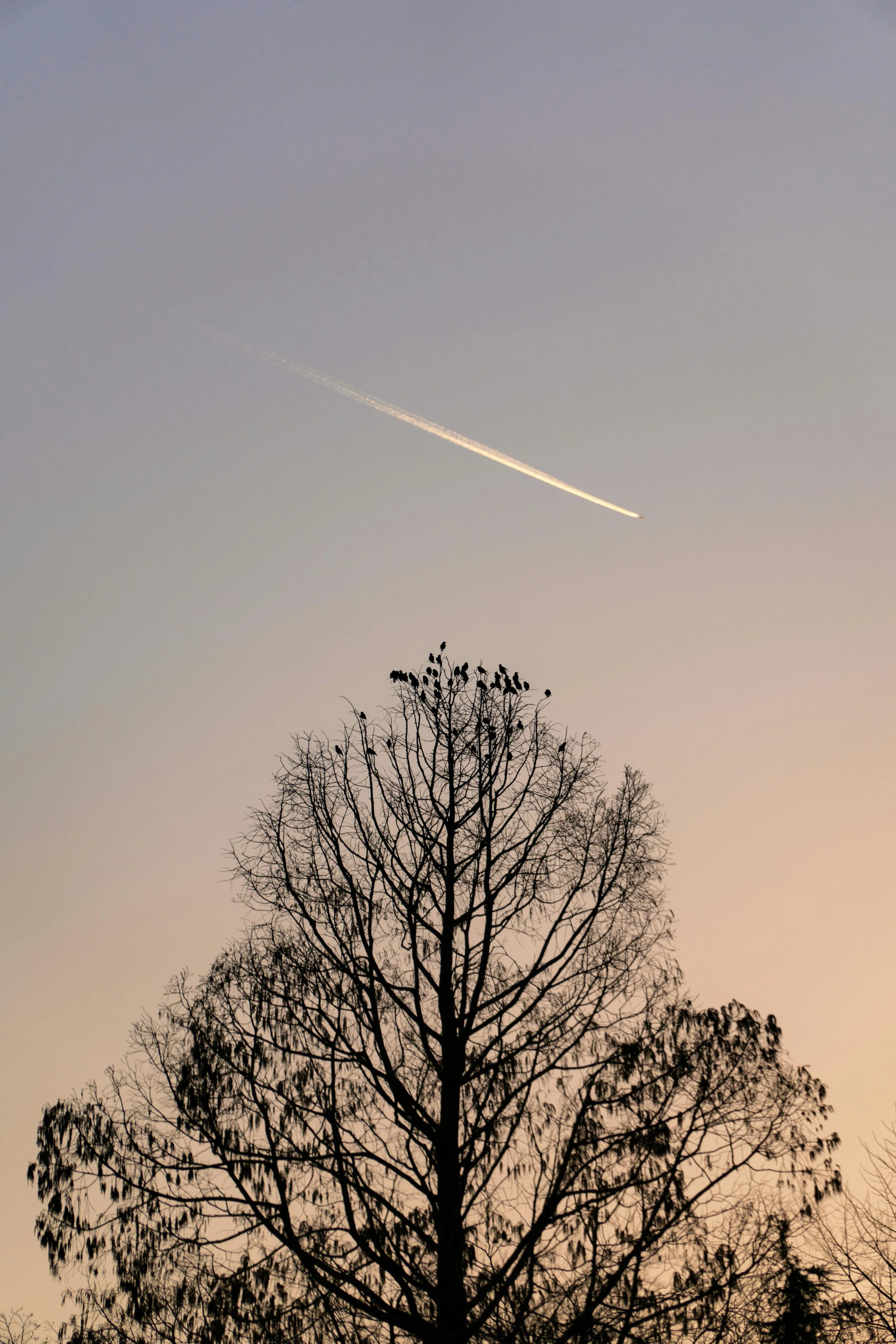 Uniquely Diverse We Grow