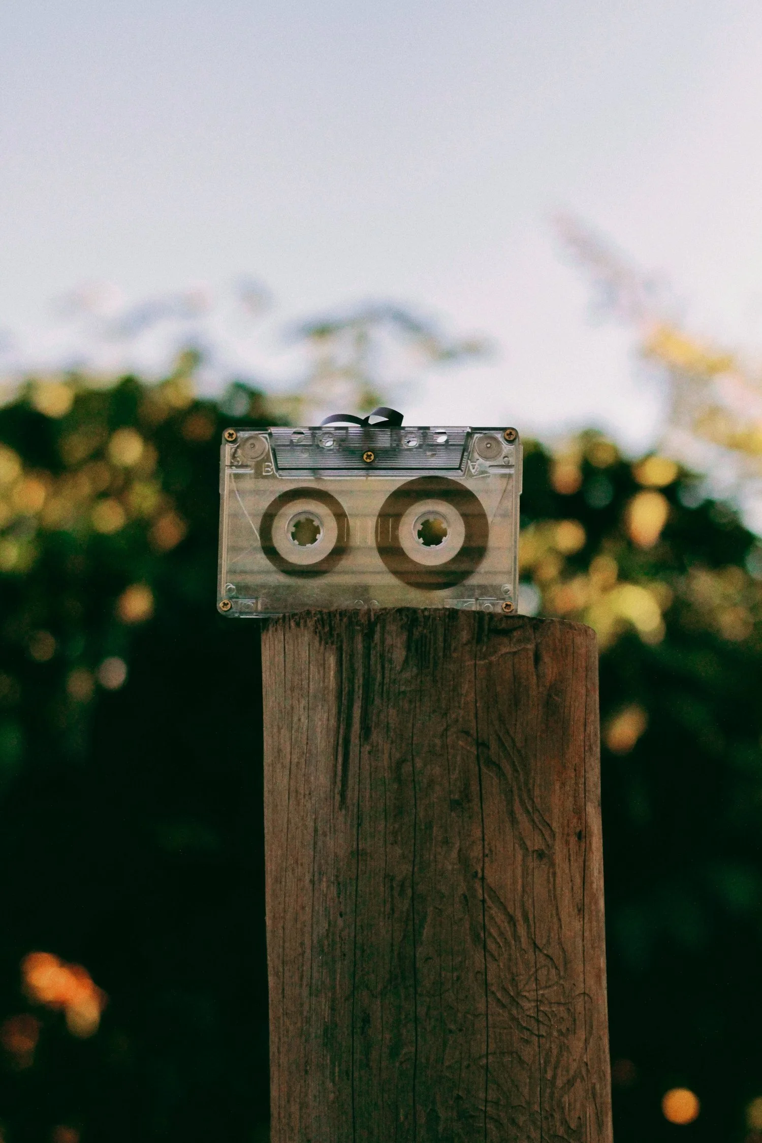 Entangled In Silence