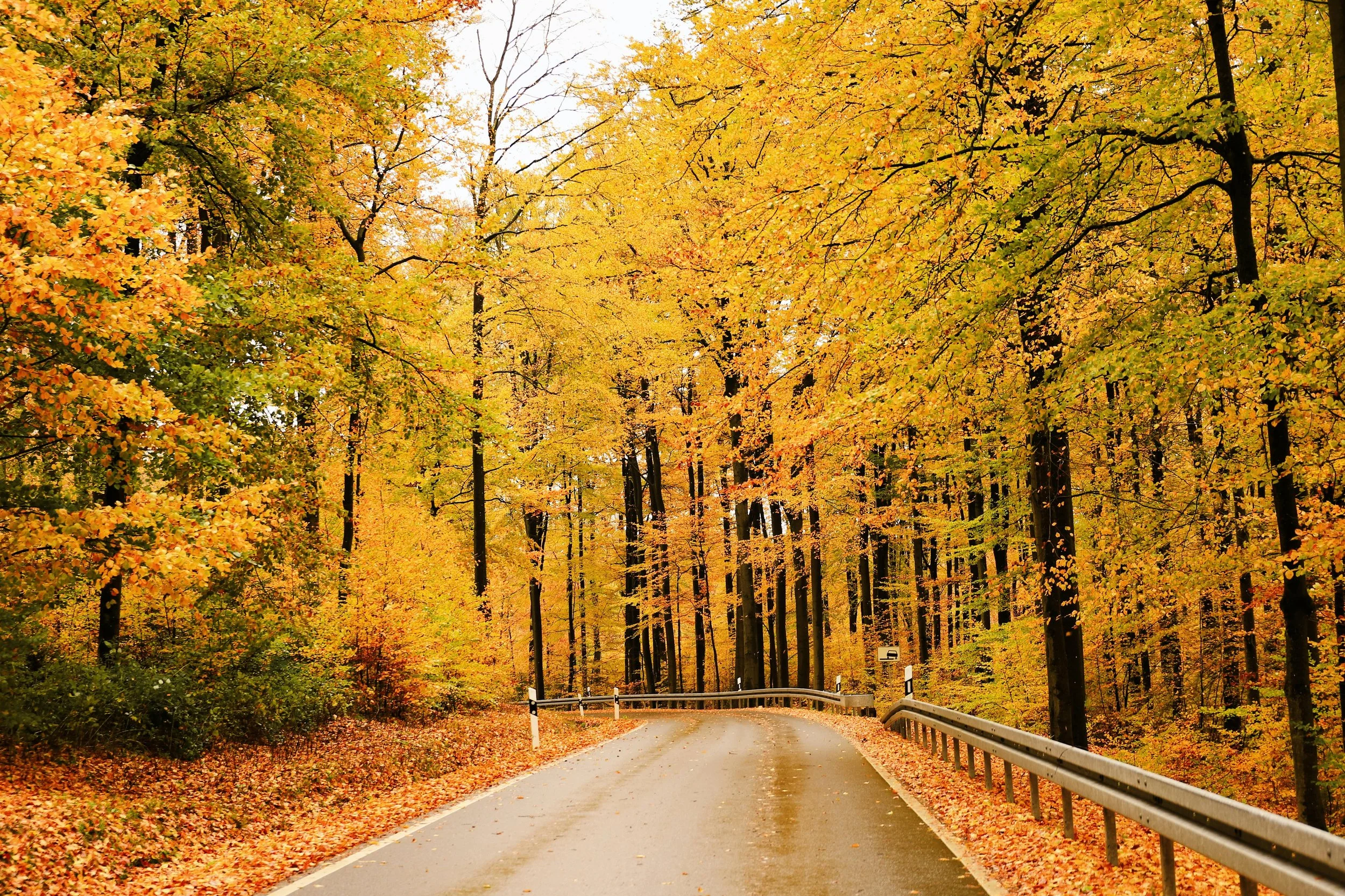 The Scenic Route