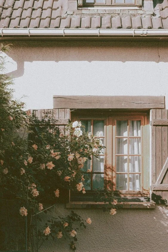 old-timey window on a terracotta home with rose bushes in front