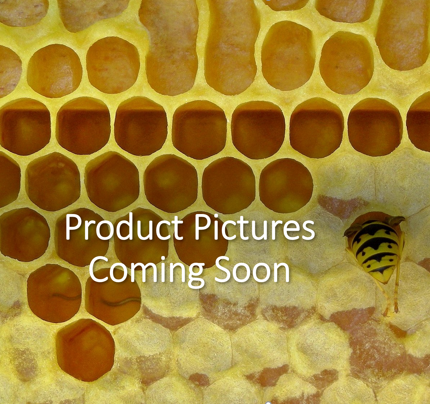 picture comin soon.PNG
