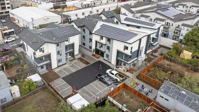 Capture bird view from back.JPG