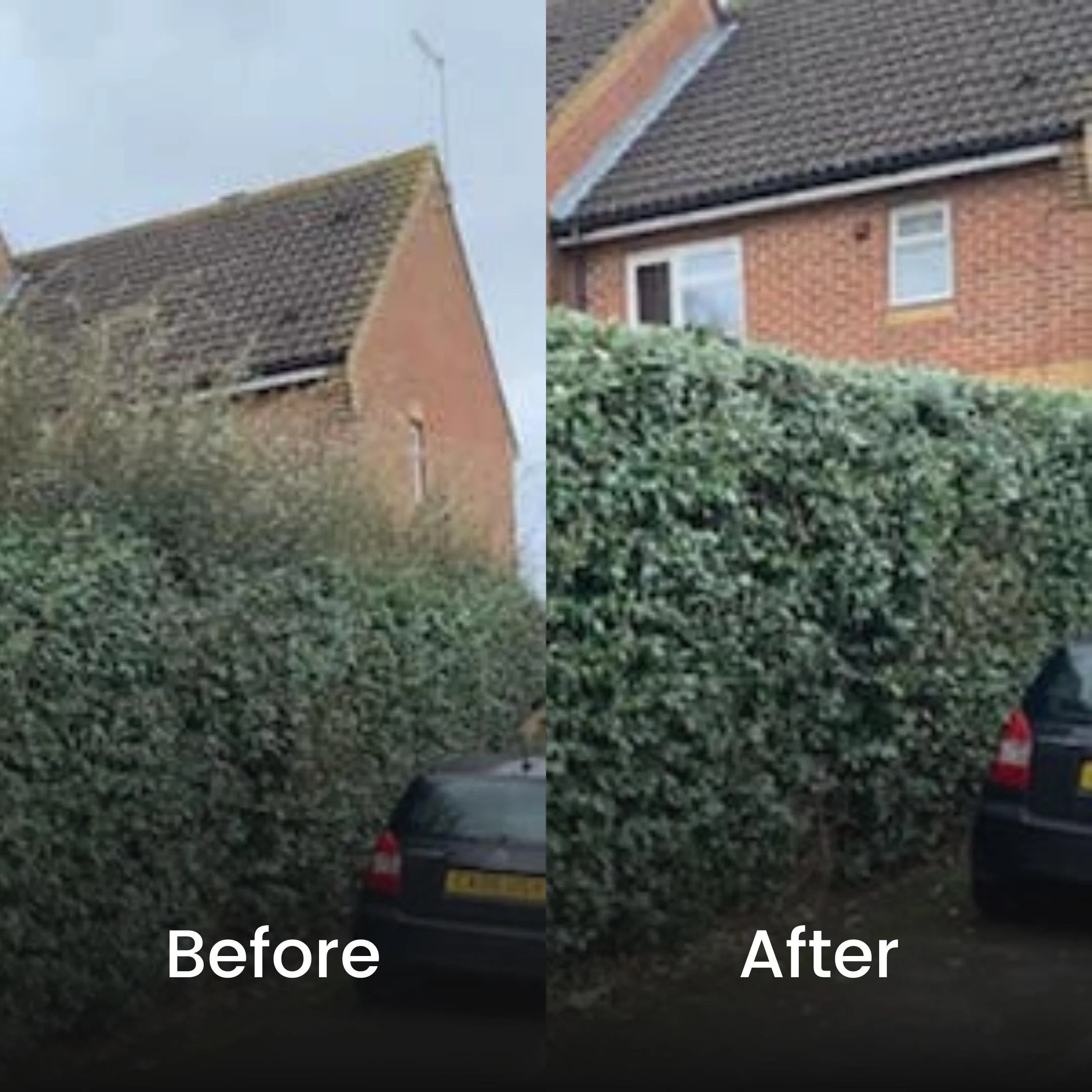 hedge trimming in cookham