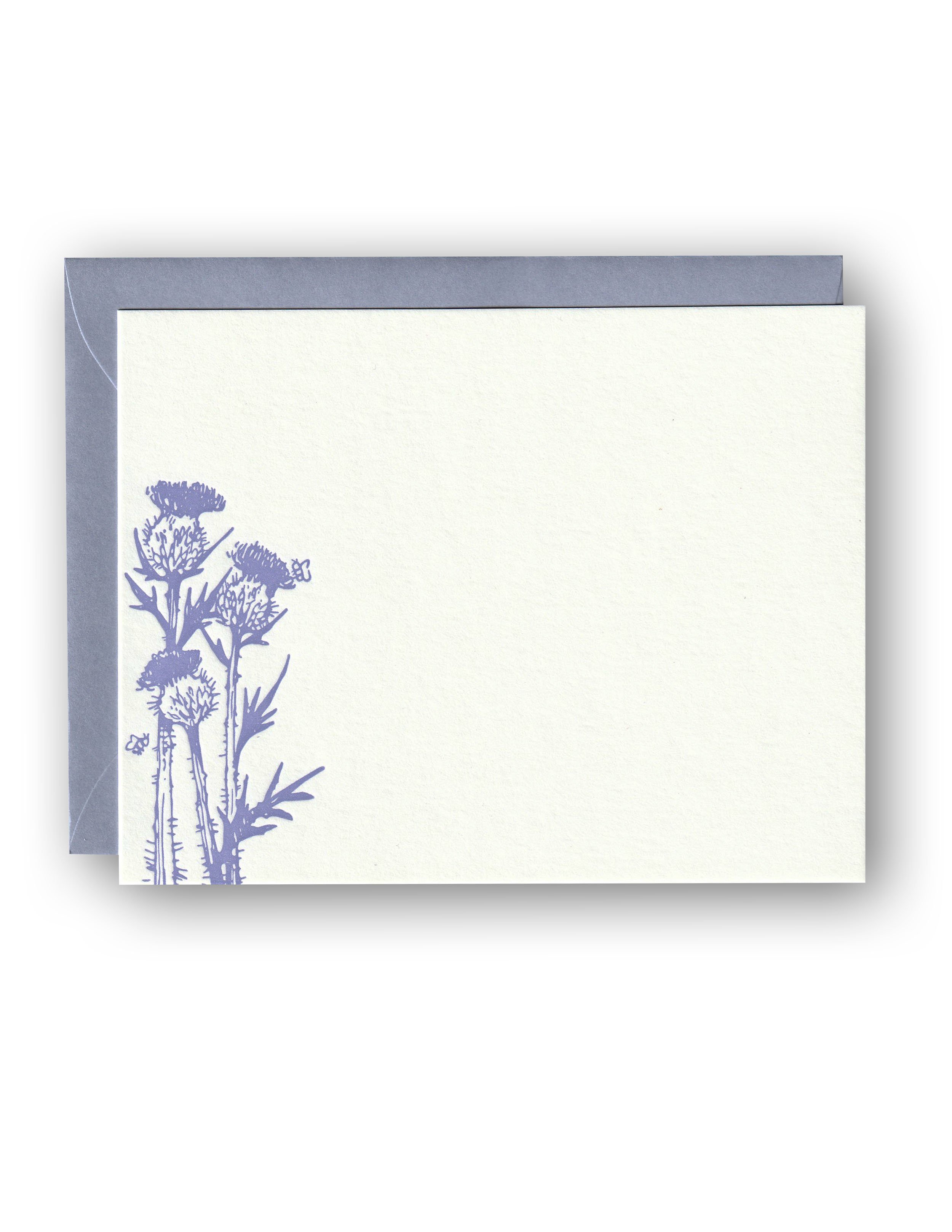 thistle NC.jpg