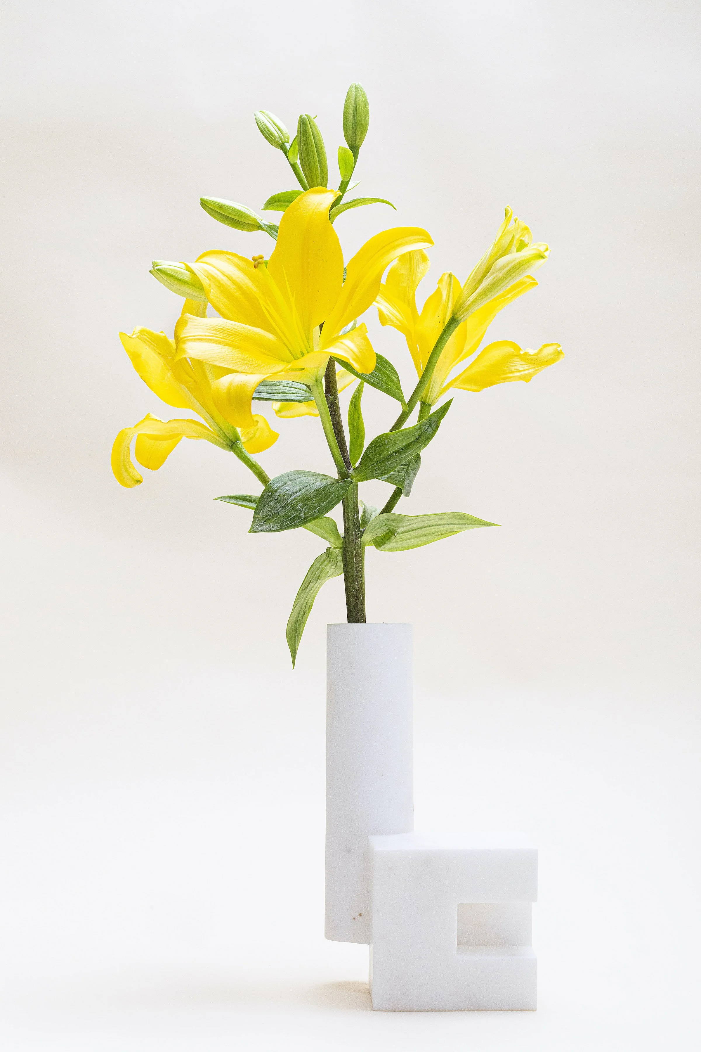 jorge-diego-etienne-galeana-florero-tubo05.jpg
