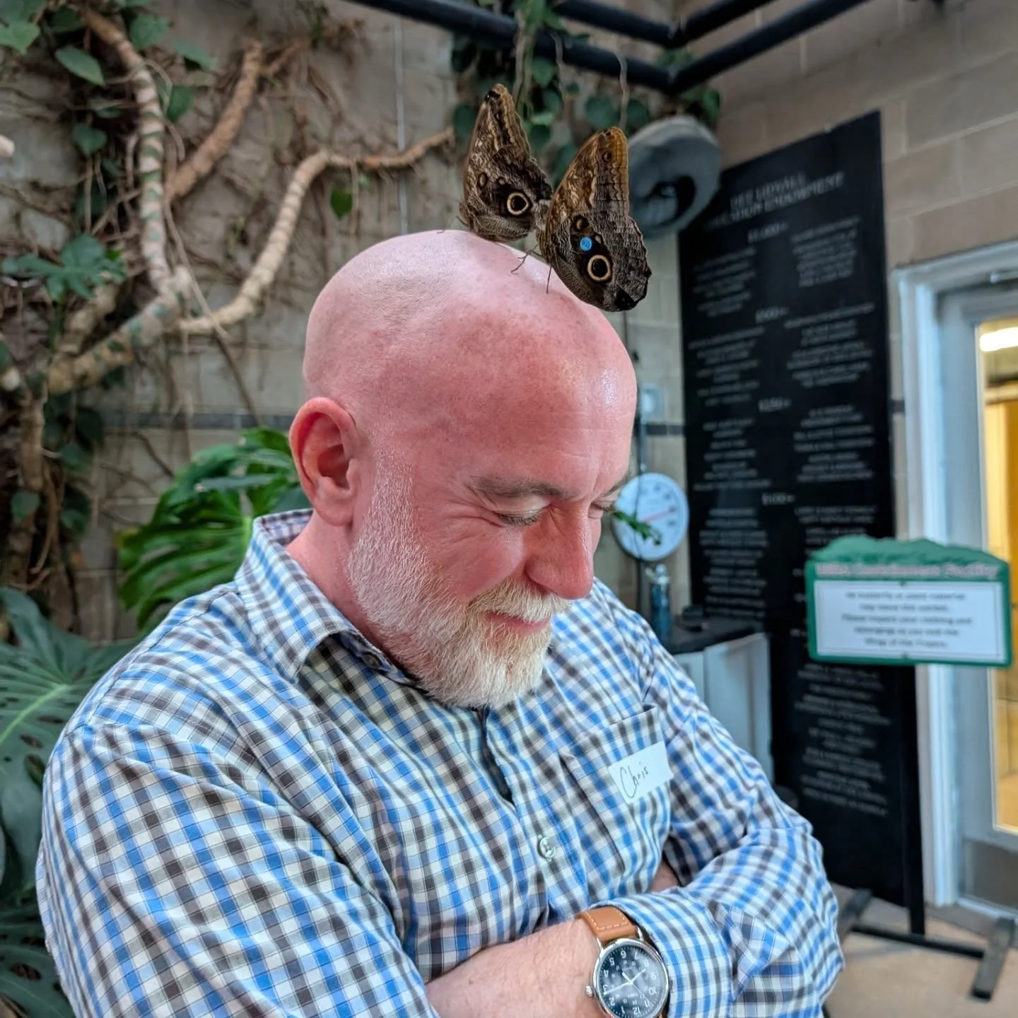 Thank you to @butterflypavilion for the invitation to attend Insectival and help kick off your 30th anniversary celebration! It was a beautiful evening filled with curiosity, connection, and celebration of the incredible impact you've made over the p