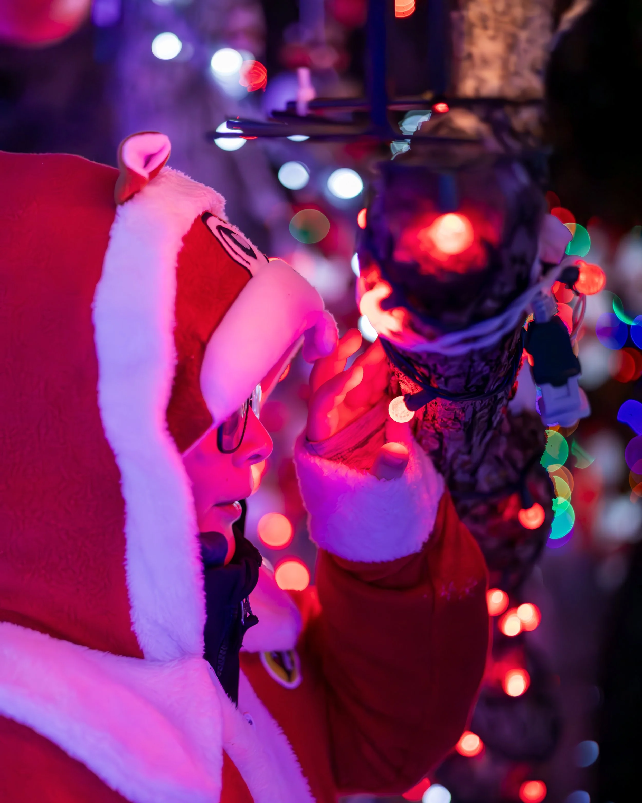 3V5A9608.jpg