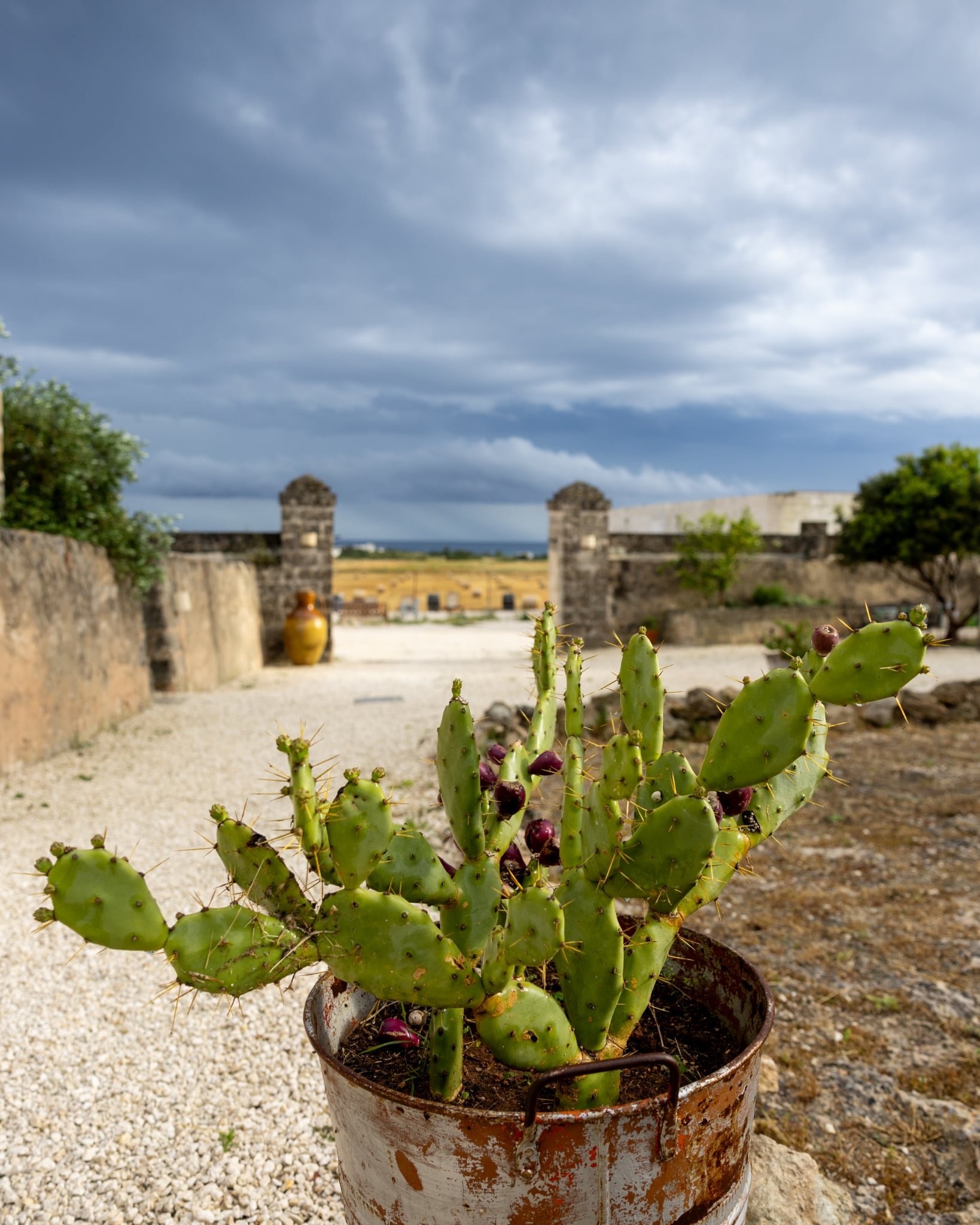 Messenger_creation_8A8793F8-E035-4C55-8737-F04D33360CCB.jpeg