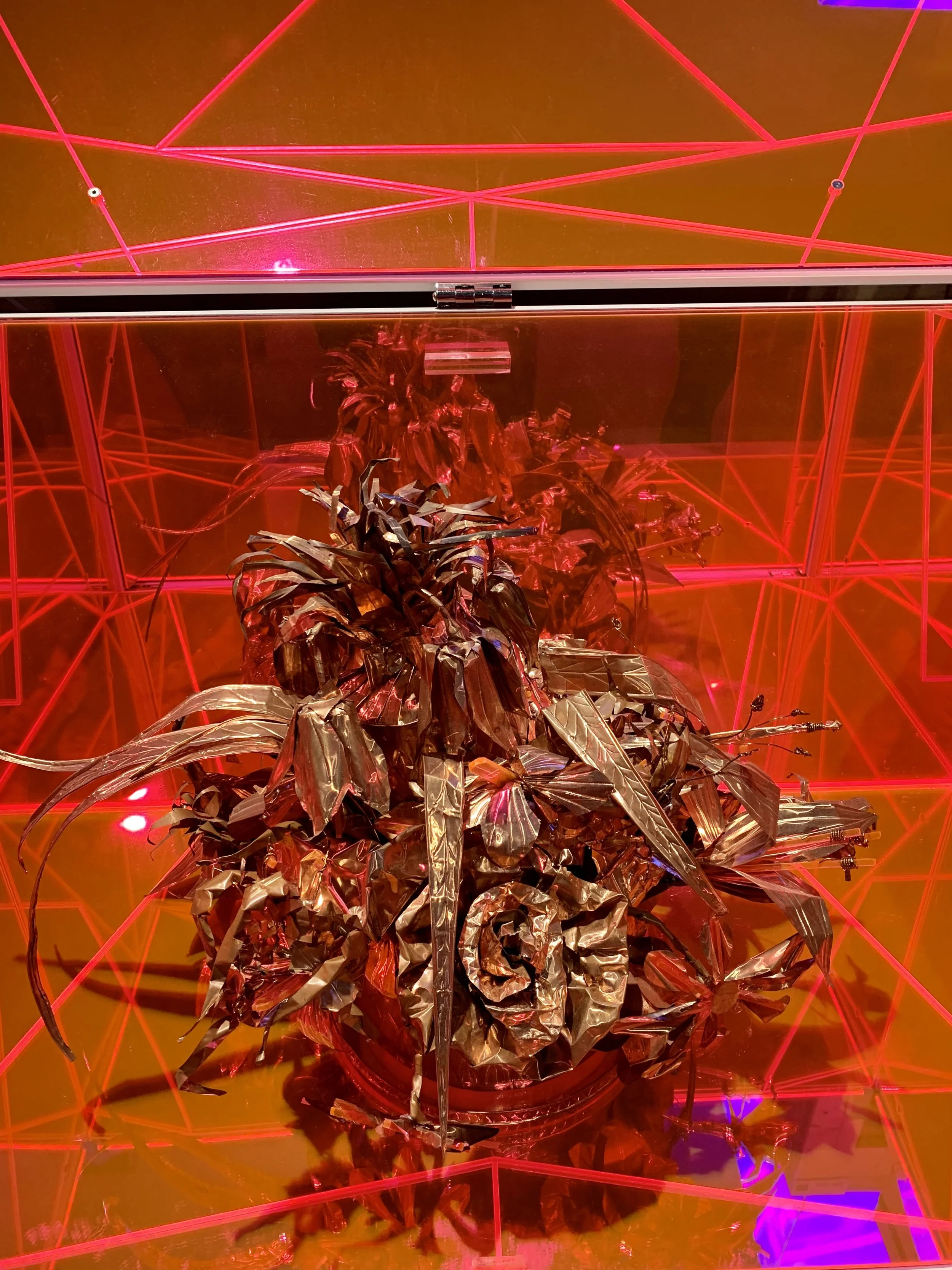 Wayne Stubbs Louis Vuitton 200 Trunks 200 Visionaries