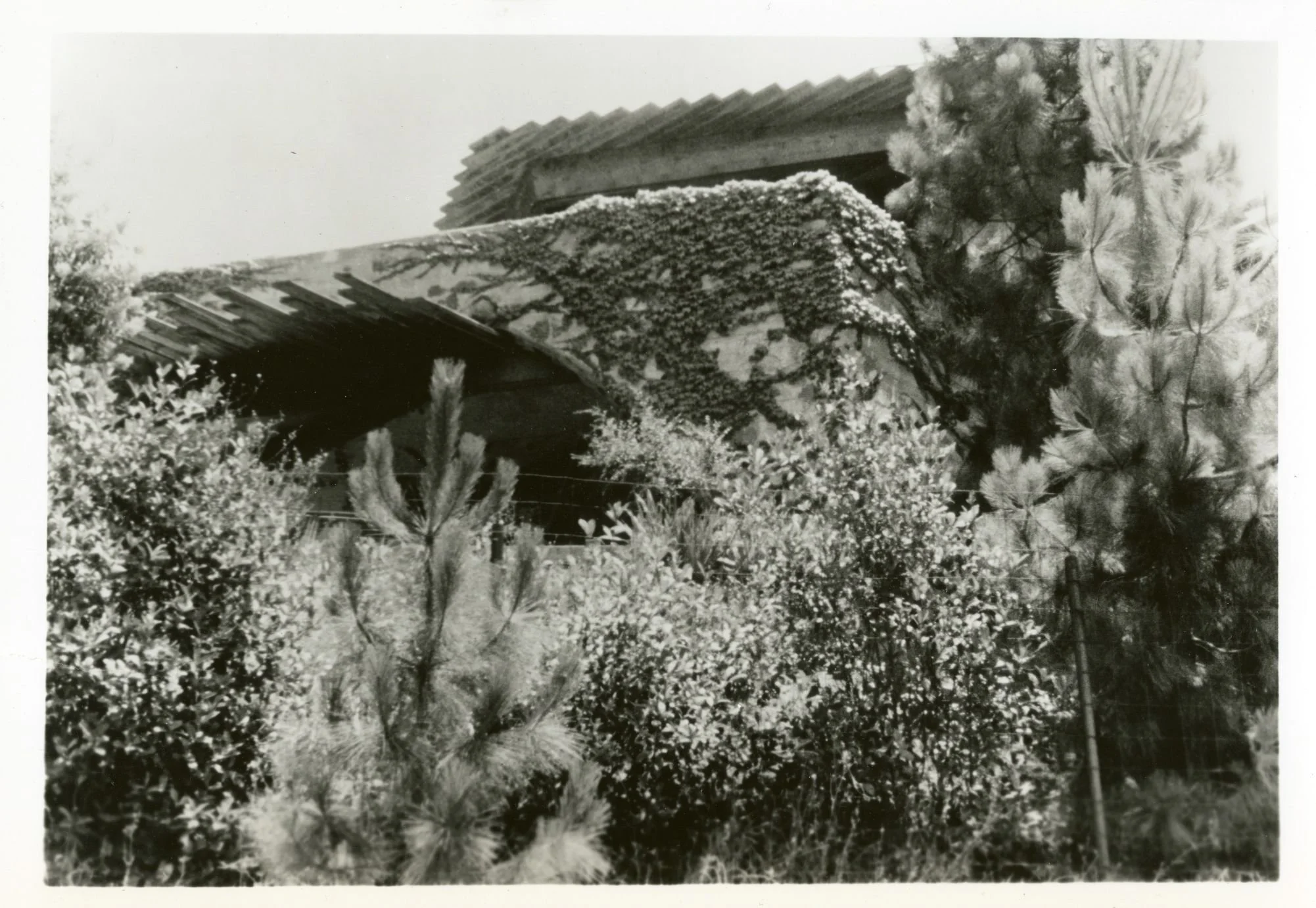 Original photo from the Library Special Collections at UCLA of the completed De Jonghe Residence in Laurel Canyon, Los Angeles
