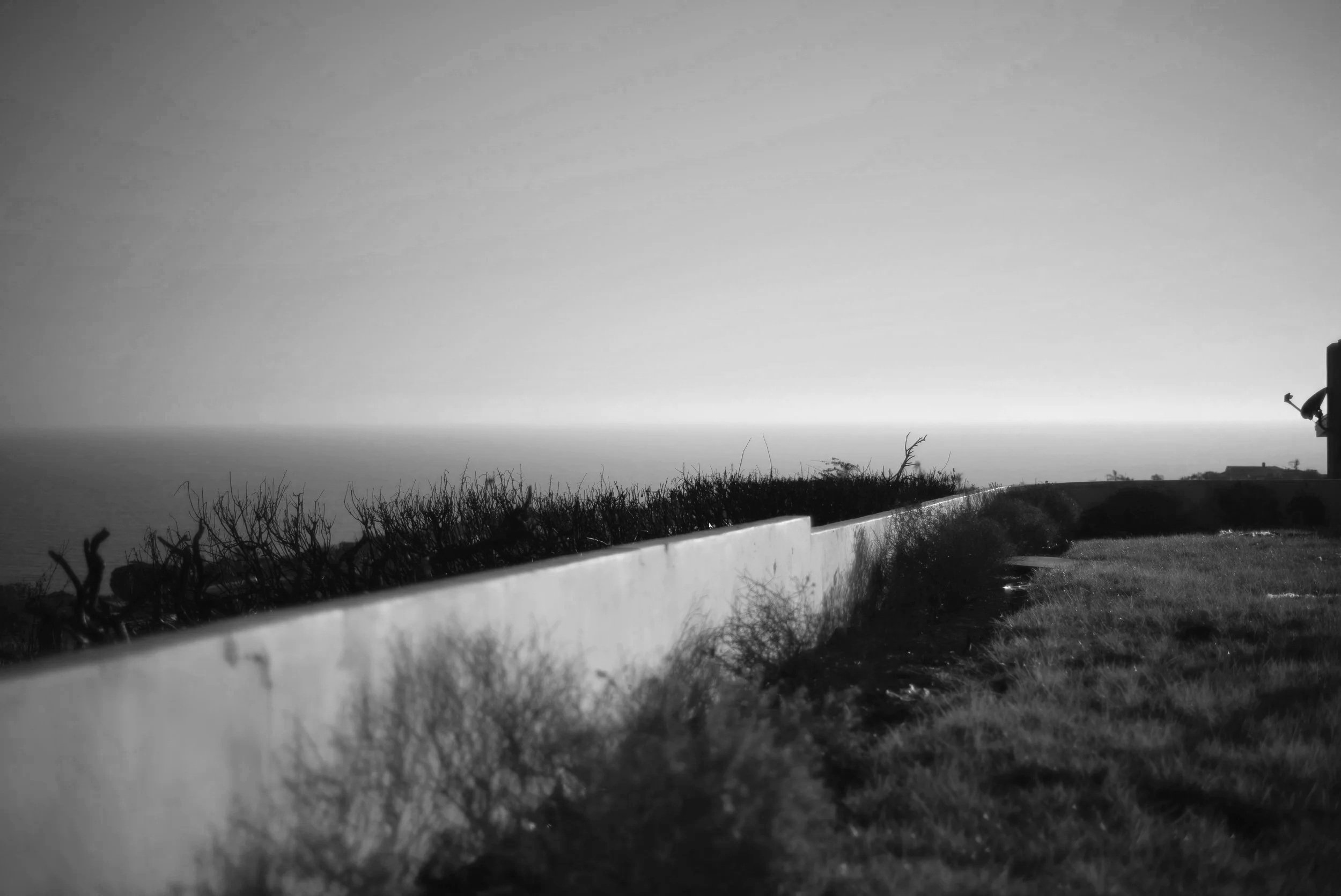 Backyard of the Palisades Residence looking out towards the Pacific Ocean, photograph by Rob Michel