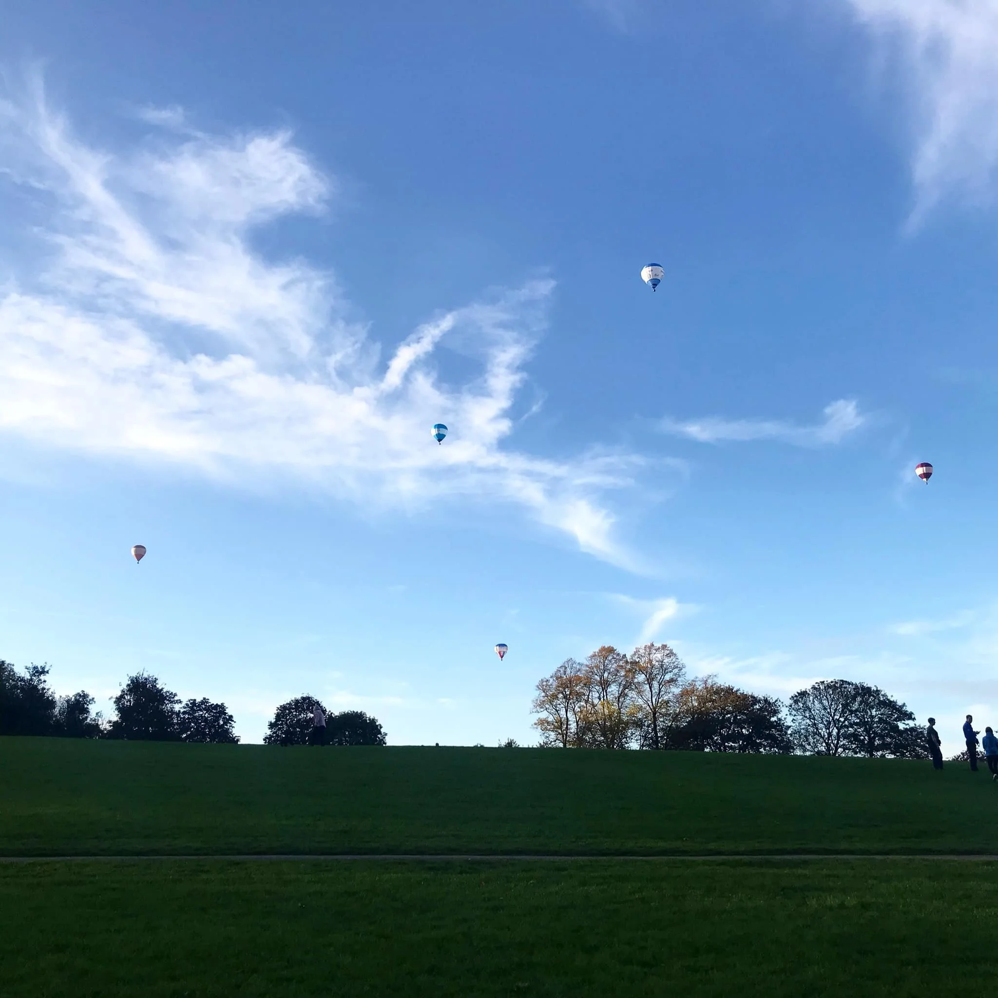 Sky with seven hot air balloons floating above a grassy park with trees and people walking.