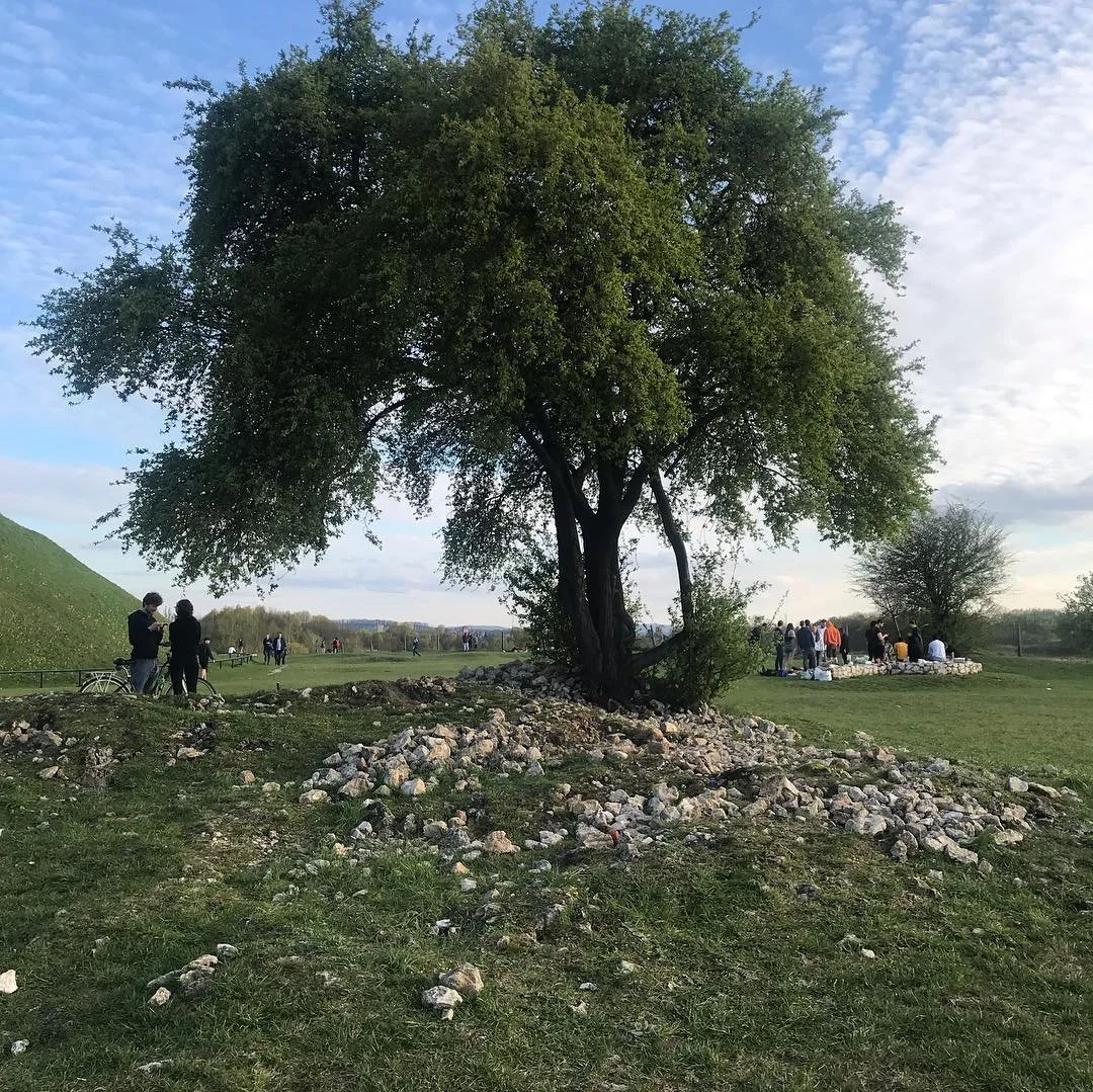 A large green tree over rocks and grass with people in the background enjoying an outdoor gathering on a partly cloudy day.