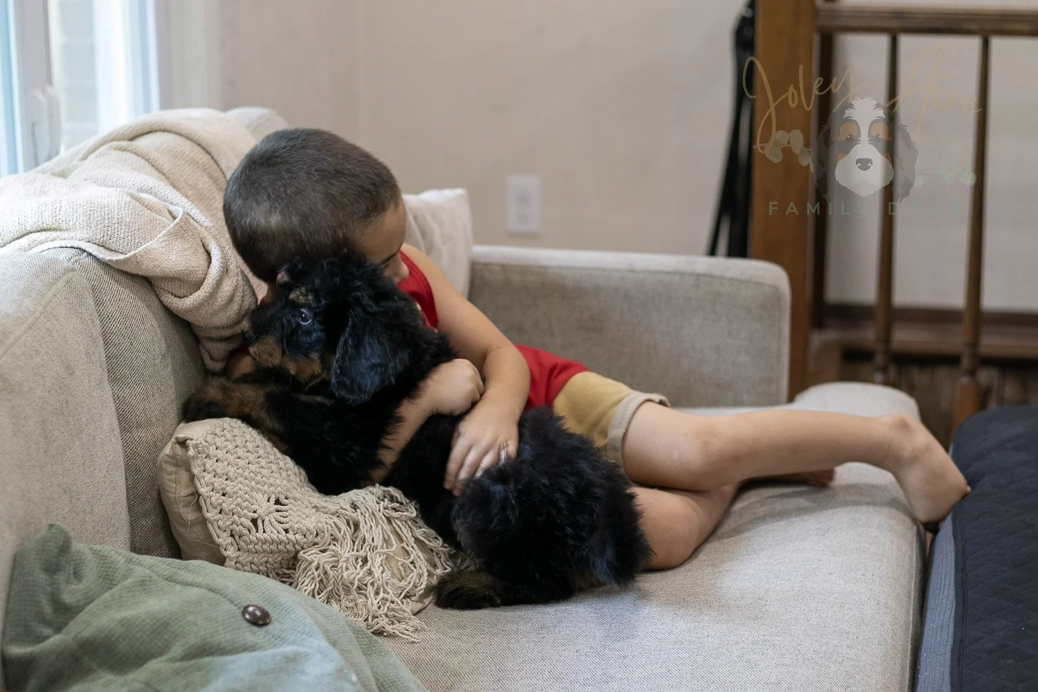Gilbert Bernedoodle Puppy-337.jpg