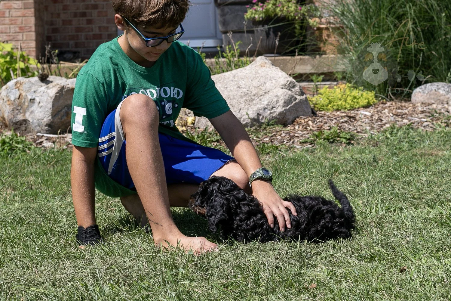 Denali Bernedoodle Puppy-523.jpg