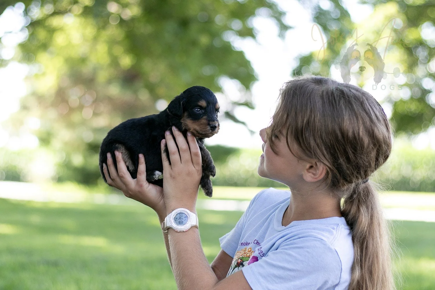 Mini Mae Bernedoodle Puppy-488.jpg