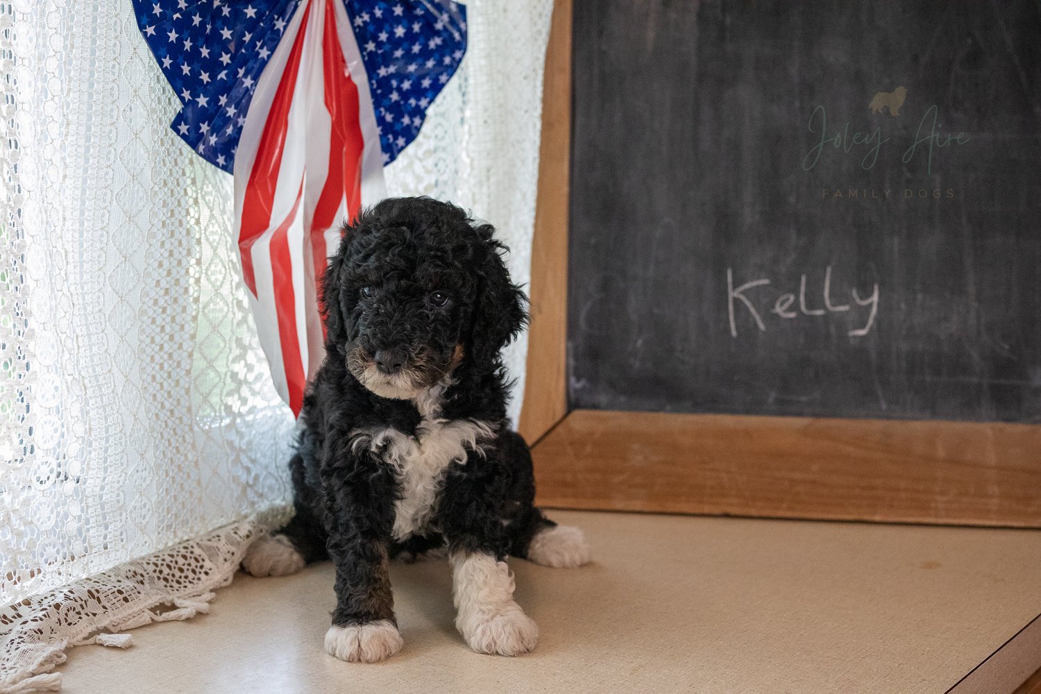 Kelly-01-2.jpg