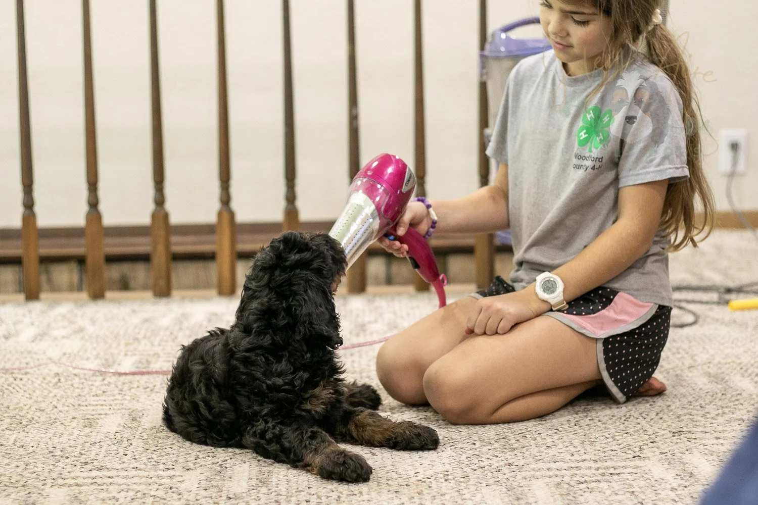Acadia Bernedoodle Puppy-519.jpg
