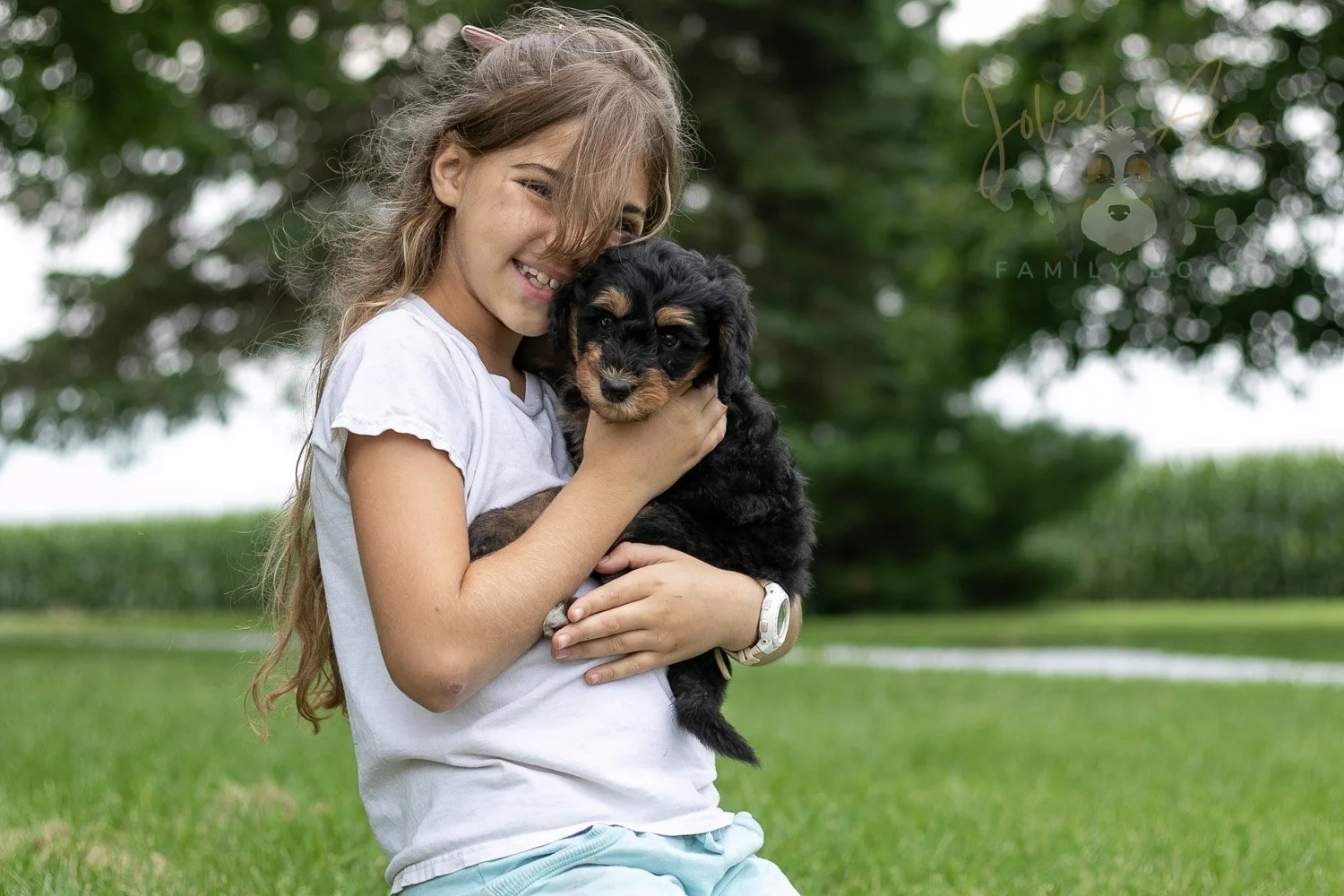Mini Mae Bernedoodle Puppy-14.jpg