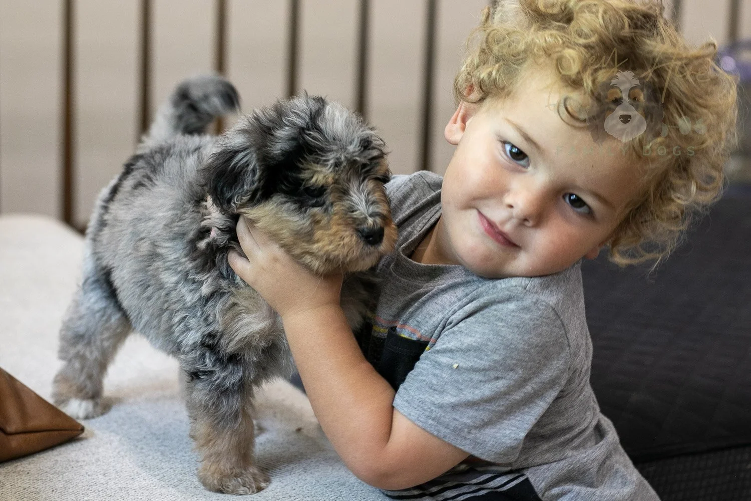 Mary Bernedoodle Puppy-304.jpg