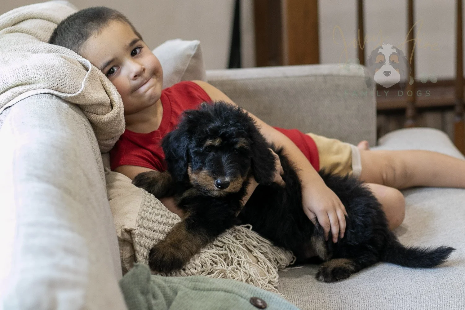 Gilbert Bernedoodle Puppy-340.jpg