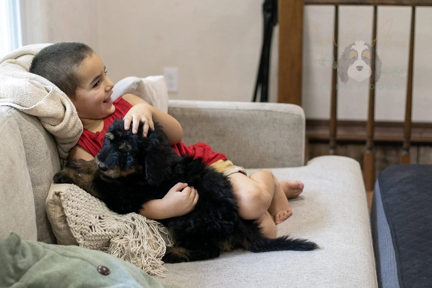 Gilbert Bernedoodle Puppy-336.jpg