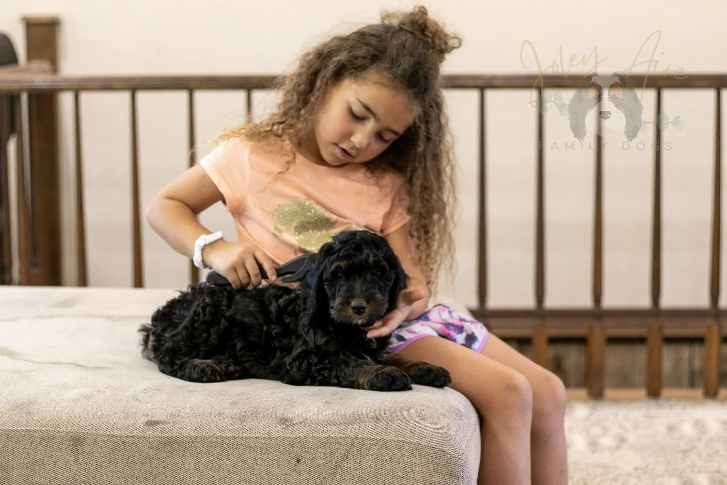 Denali Bernedoodle Puppy-544.jpg
