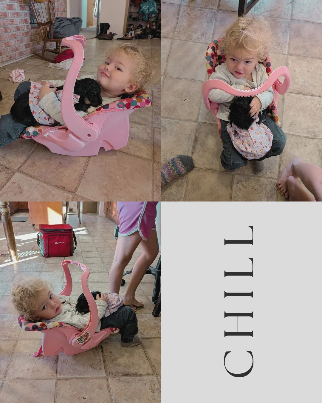 It might be hard to see what's going on here, but our girls dressed the puppies up in doll clothes and our 18 month old took Sweet Pea and snuggled up inside the doll car seat. He sat there, content as a cucumber for a long time! 

All just a day in 