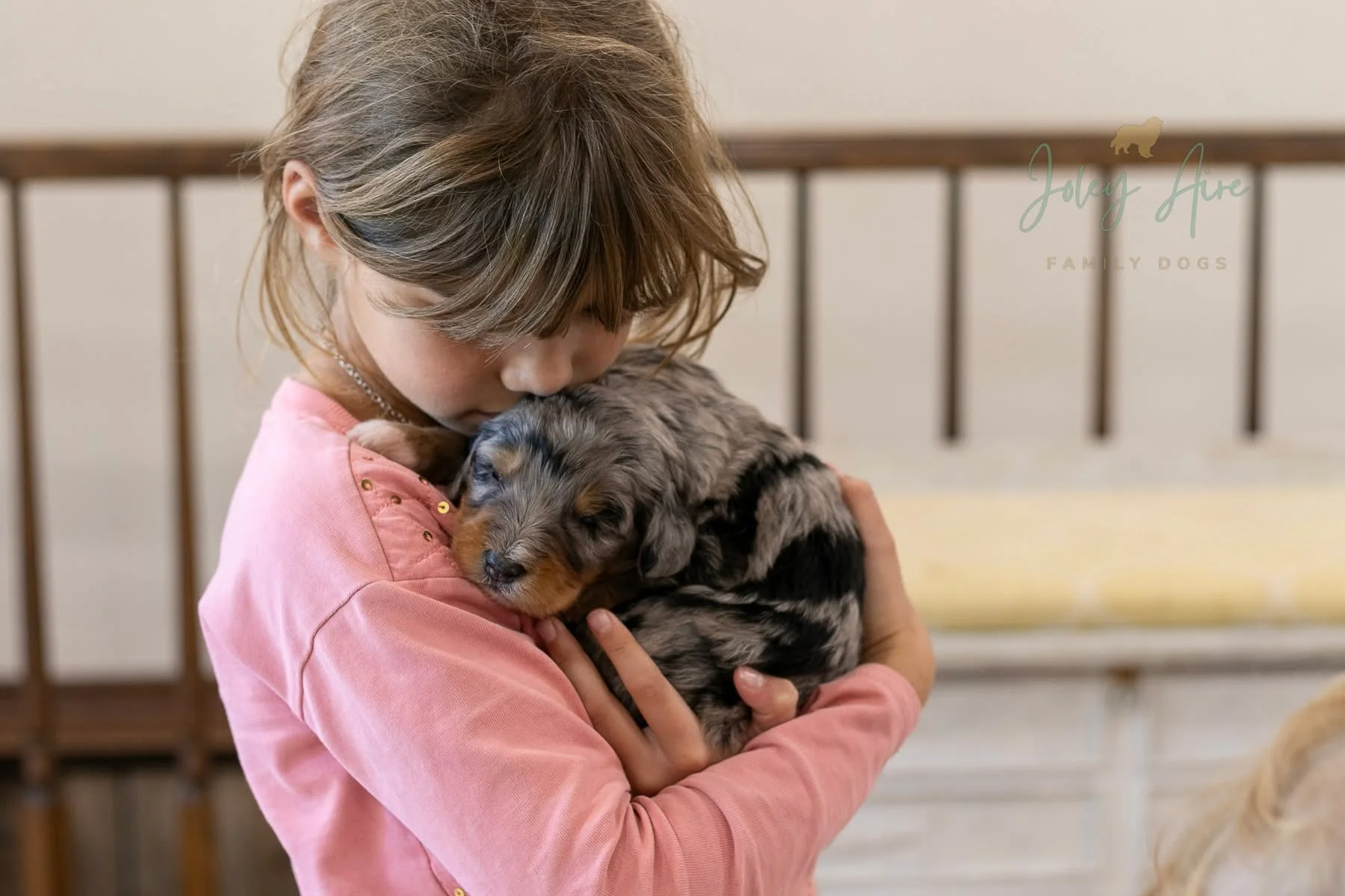 💕Love and snuggles grow the best puppies! 

We might not have a scientific study to prove this (though I'm sure it exists somewhere), but we have seen time and time again over the many years we've been doing this that puppies that are raised in a fa